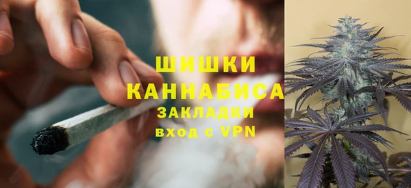 индика Липки