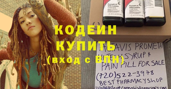 индика Липки