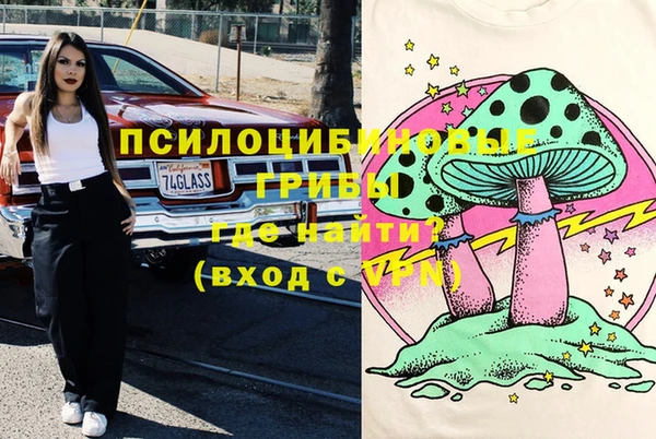 PSILOCYBIN Абаза