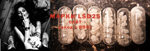 PSILOCYBIN Абаза